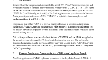 Cover Page of the Veterans' Rights and Protections pdf