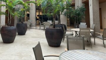 Round tables and chairs in a courtyard with palm trees in large planters